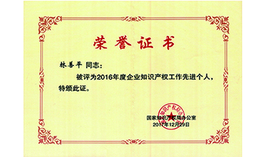 林善平榮獲國家“企業(yè)知識產(chǎn)權(quán)工作先進個人”